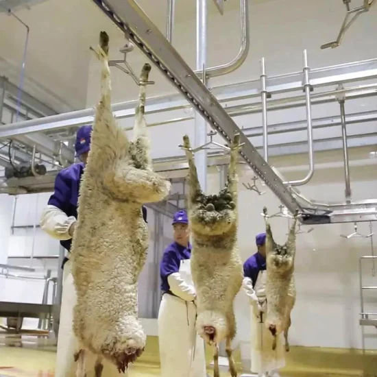 Equipo de procesamiento de canales de oveja, carril de transporte automático para línea de matadero de cabras