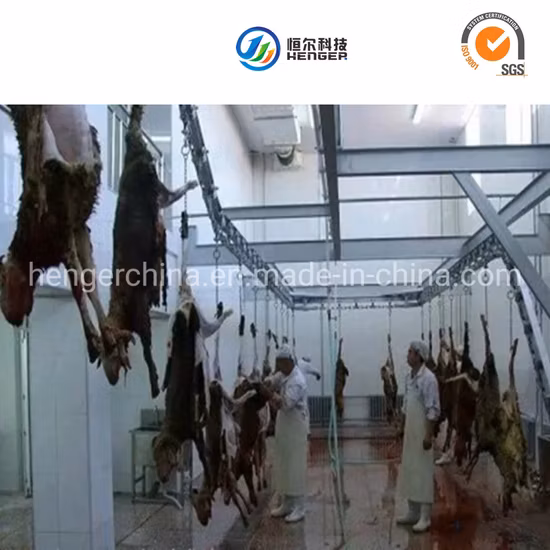 Equipo de procesamiento de canales de oveja, carril de transporte automático para línea de matadero de cabras